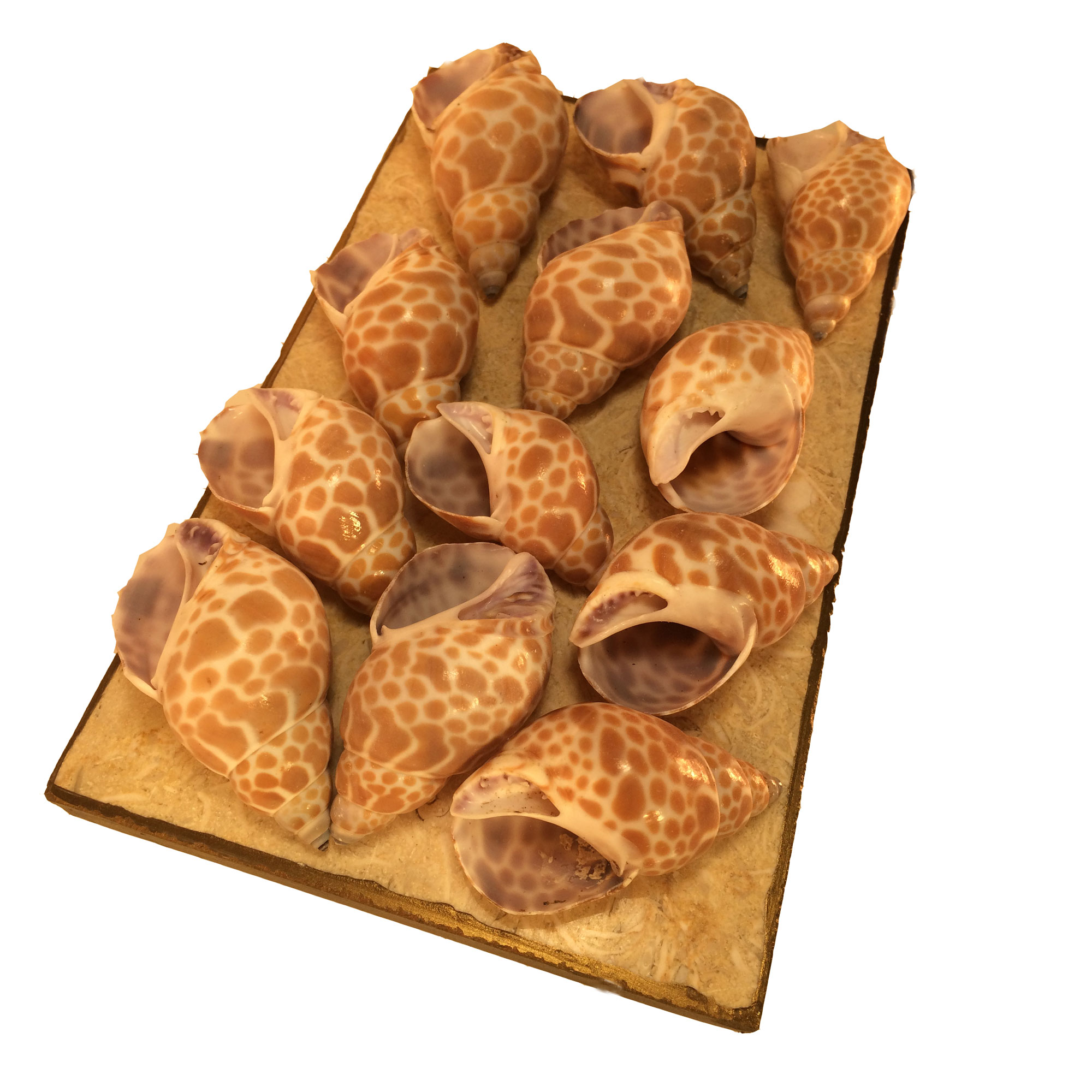 Suport potpourri, mariafrancesca.art, diverse plante - Image 5