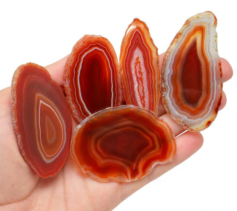 ee839e46-3a4e-558b-8949-045c64a83a3c_800x.progressive