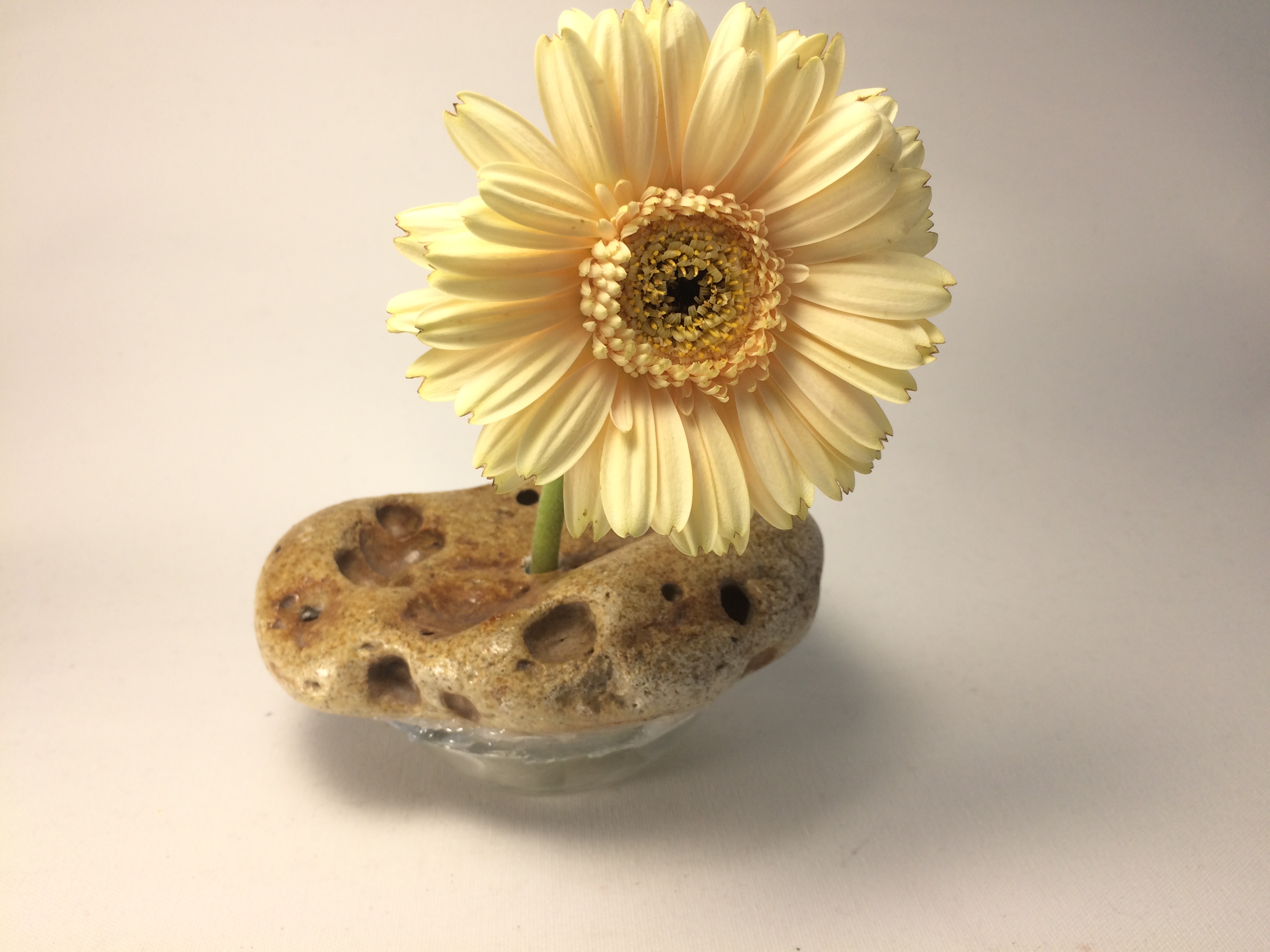 4F, Fie Floare, Fie Foc - Image 6