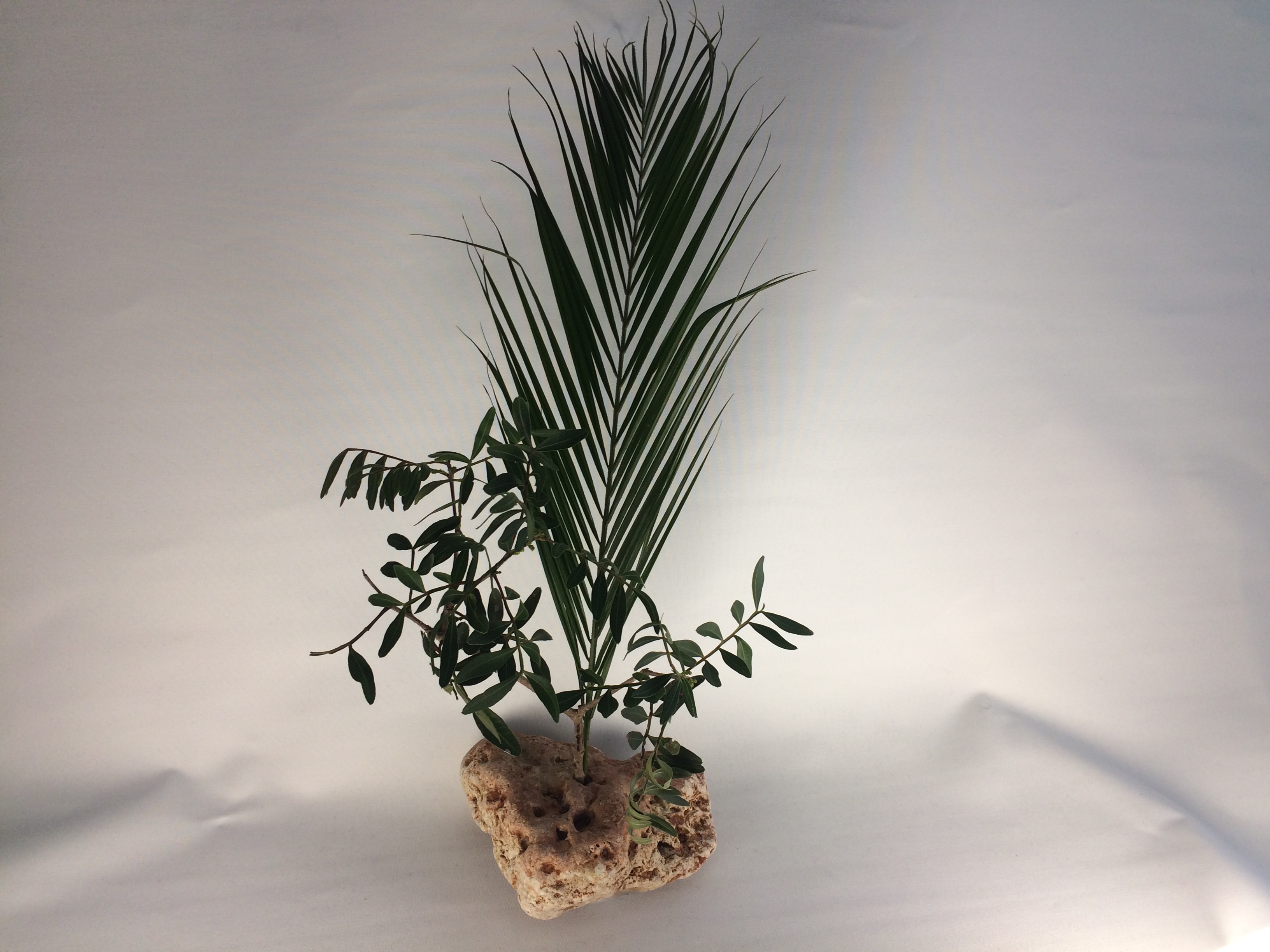 4F, Fie Floare, Fie Foc - Image 7